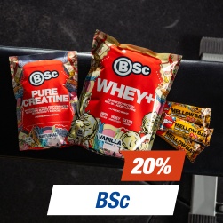 BSc 20 %